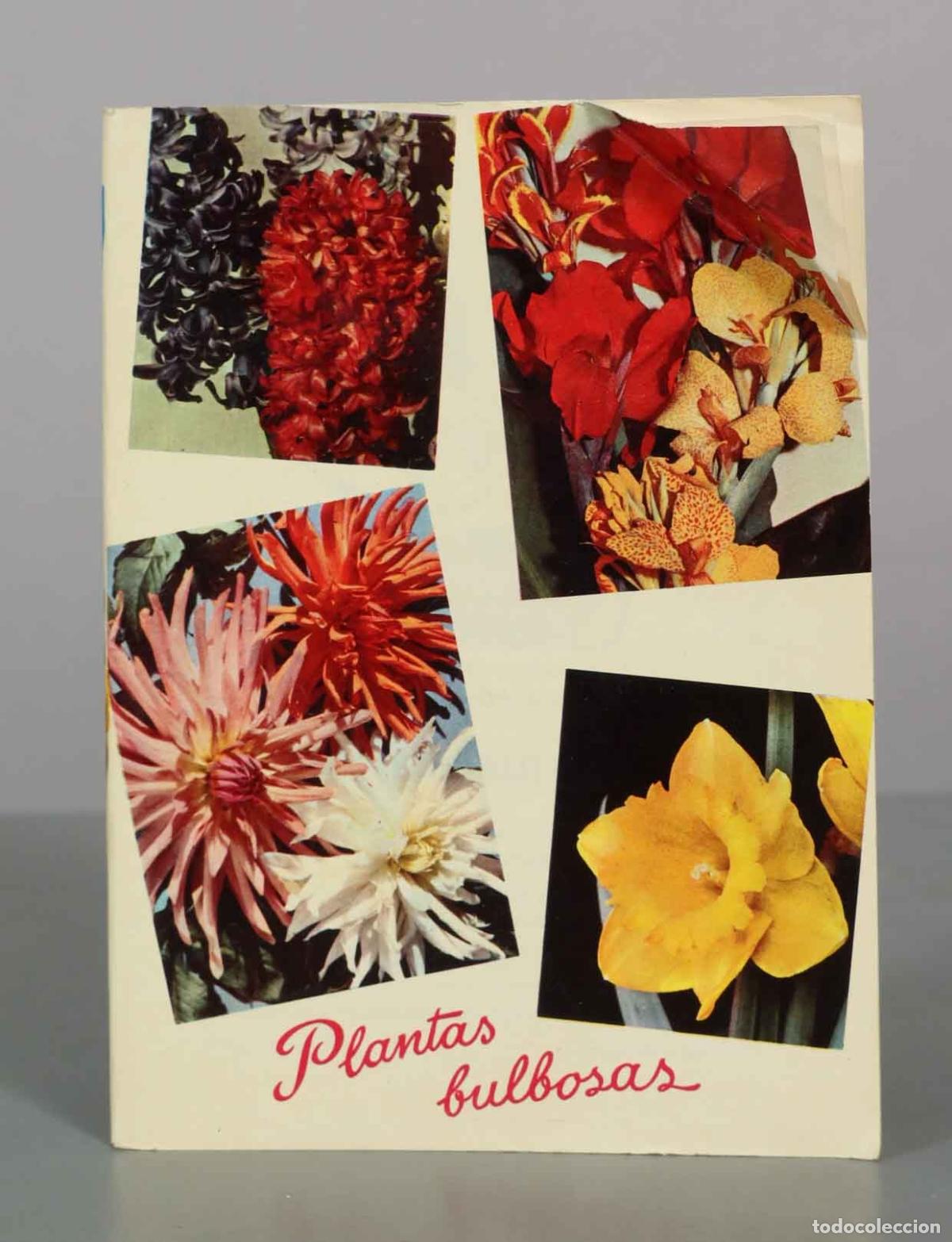 Libros de segunda mano: Plantas Bulbosas - Kanda, La Flor de las Flores