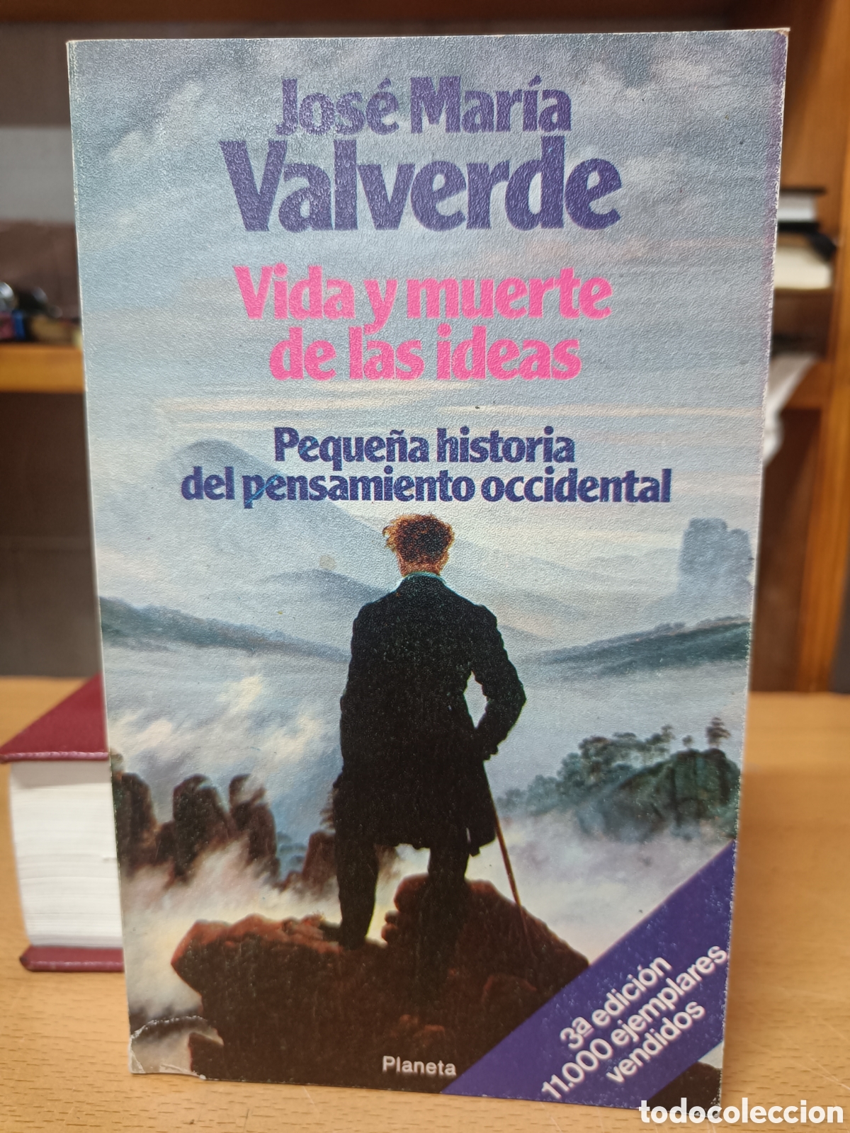 Libros de segunda mano: VIDA Y MUERTE DE LAS IDEAS. JOS&Eacute; MAR&Iacute;A VALVERDE. PEQUE&Ntilde;A HISTORIA DEL PENSAMIENTO OCCIDENTAL.