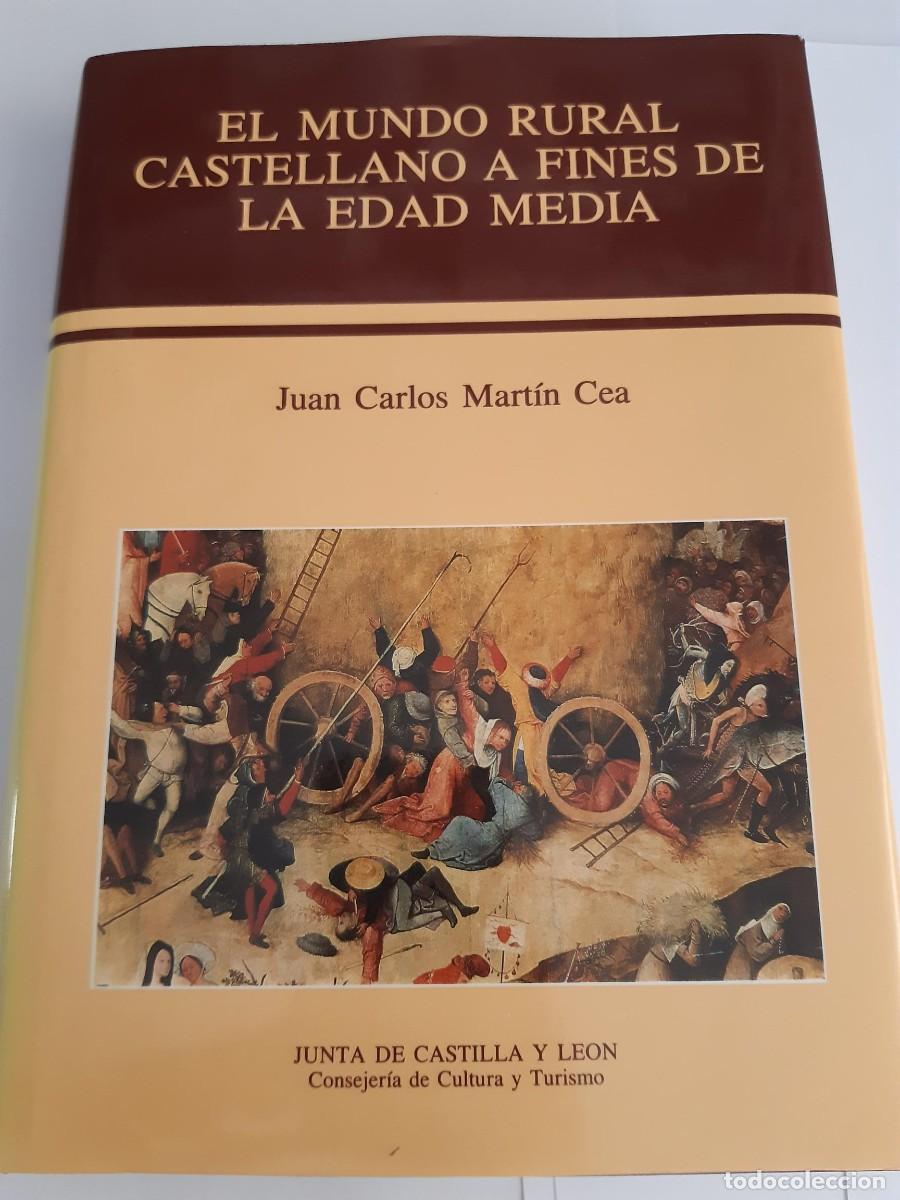 Libros de segunda mano: EL MUNDO RURAL CASTELLANO A FINES DE LA EDAD MEDIA-JUAN CARLOS MARTIN-ED. JUNTA CASTILLA LEON-1991