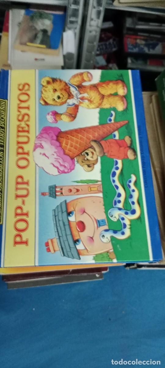 Libros de segunda mano: POP-UP OPUESTOS TEDDY PEQUE&Ntilde;IN LIBRO M-JYE