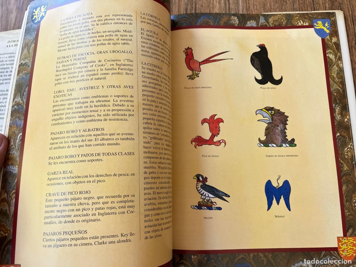 Libros de segunda mano: INTRODUCCION A LA HERALDICA. STEFAN OLIVER - Foto 6