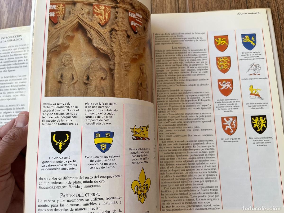 Libros de segunda mano: INTRODUCCION A LA HERALDICA. STEFAN OLIVER - Foto 7