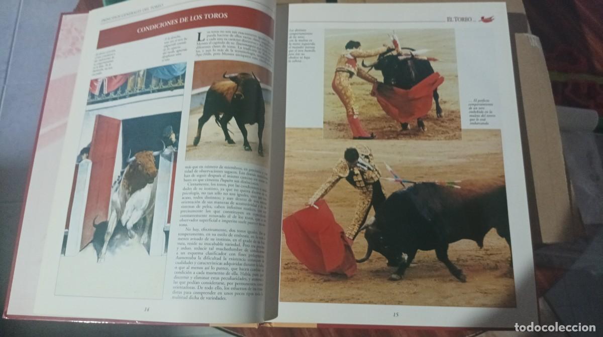 Libros de segunda mano: Gran colecci&oacute;n de tauromaquia, libros y dvd. - Foto 7