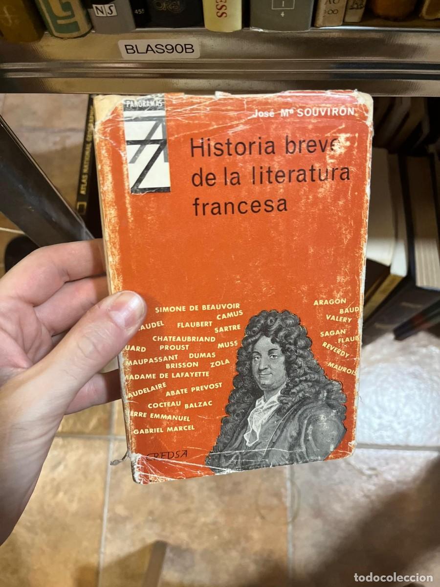 Libros de segunda mano: BLAS90B Jose M SOUVIRON Historia breve de la literatura francesa