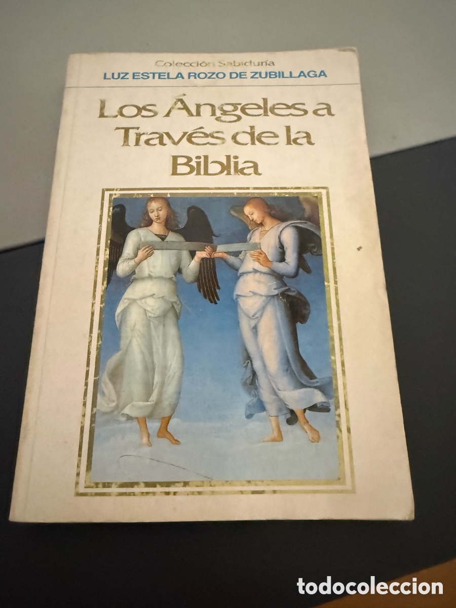 Libros de segunda mano: Los &aacute;ngeles a trav&eacute;s de la biblia. Rozo de Zubillaga. LAC&Oacute;NICA 188pp