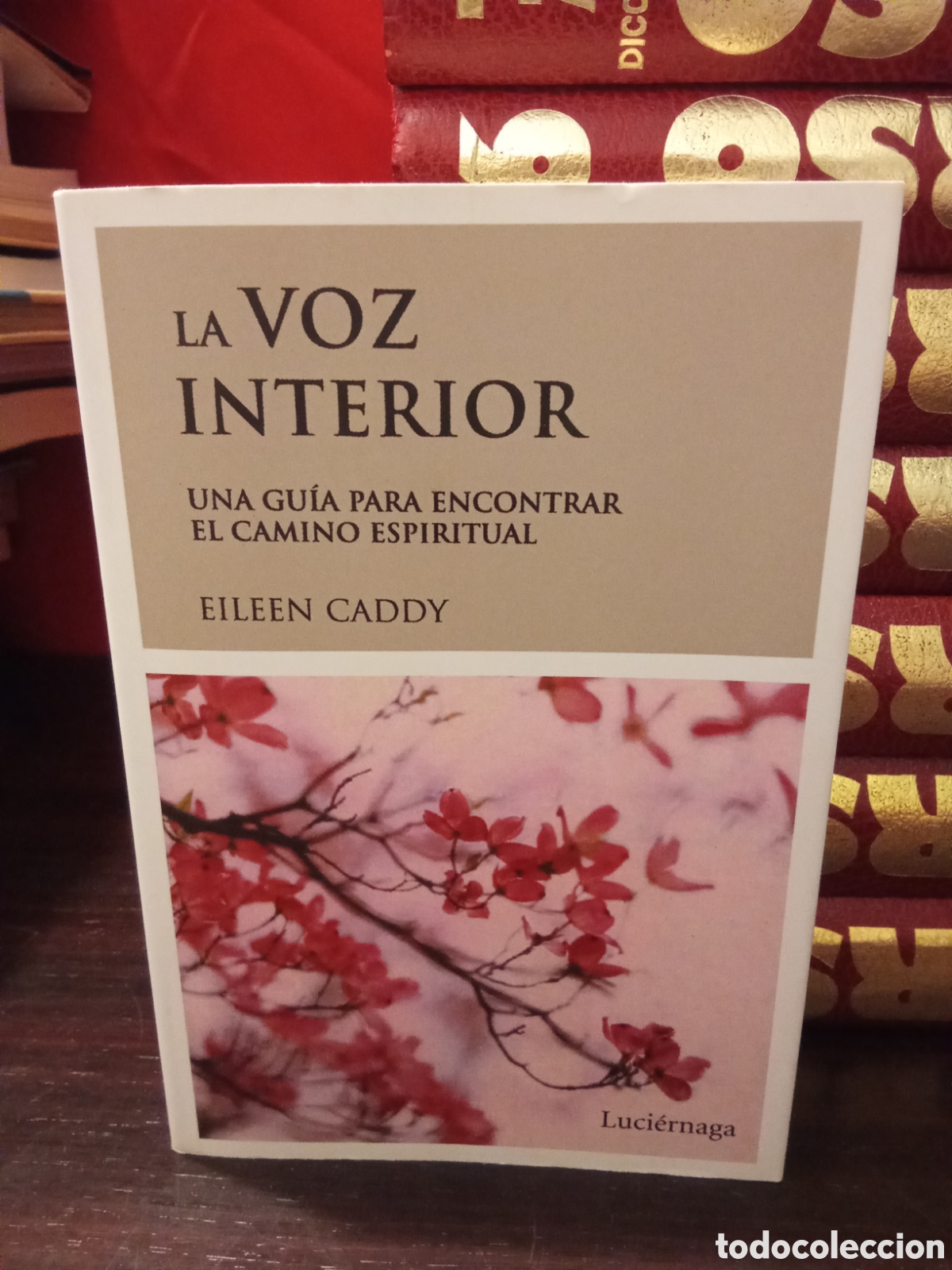 Libros de segunda mano: LA VOZ INTERIOR - UNA GUIA PARA ENCONTRAR EL CAMINO ESPIRITUAL - EILEEN CADDY
