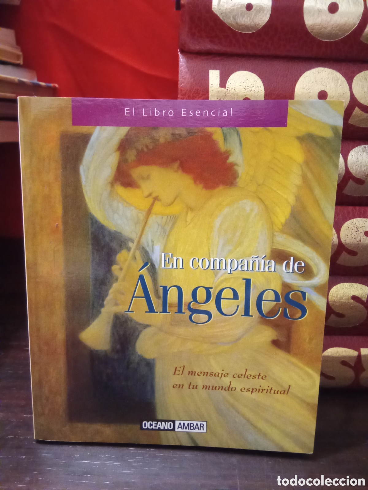 Libros de segunda mano: En compa&ntilde;&iacute;a de &Aacute;ngeles - El mensaje celeste en tu mundo espiritual