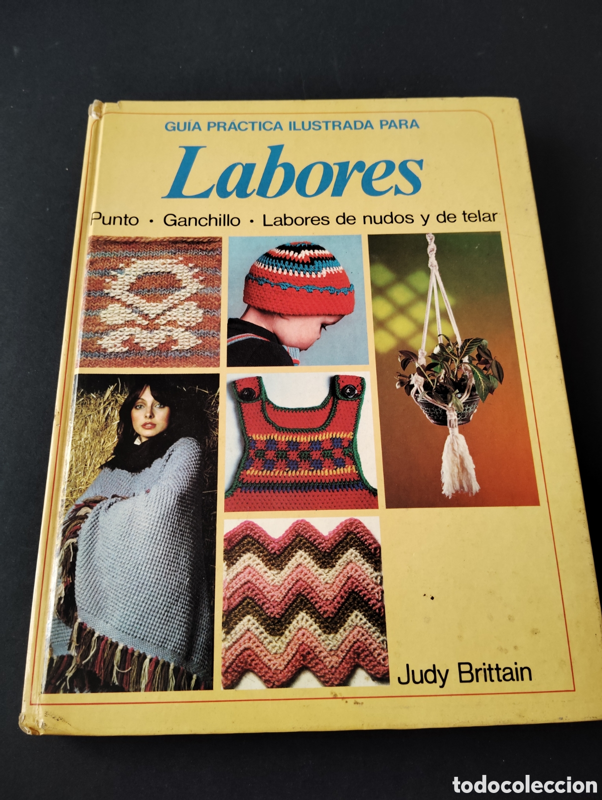 Libros de segunda mano: Gu&iacute;a pr&aacute;ctica ilustrada para Labores - Foto 1