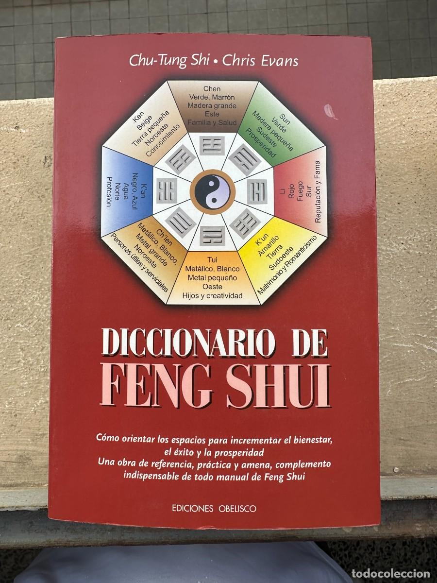 Libros de segunda mano: Chu-Tung Shi / Chris Evans - Diccionario de Feng Shui