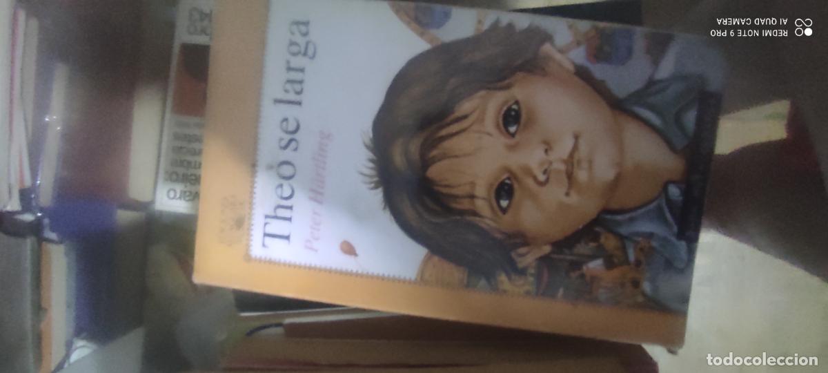 Libros de segunda mano: Theo se larga Peter H&auml;rtling salvat alfaguara infantil juvenil 38