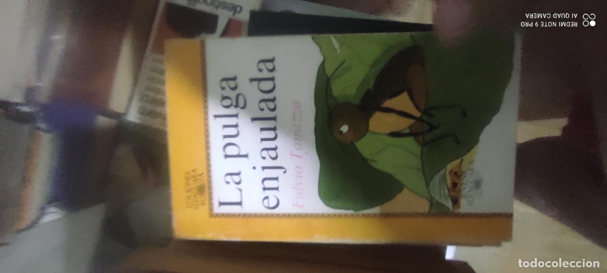 Libros de segunda mano: TOMIZZA, Fulvio. La pulga enjaulada (Juvenil Alfaguara ; 58) / ilustr. Isabel Arechabala. - 1984