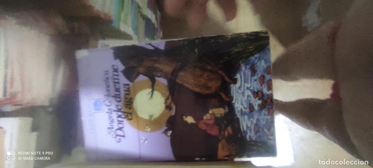 Gebrauchte B&uuml;cher: Donde Duerme el Agua - Angela C. Ionescu - LABOR BOLSILLO JUVENIL - 1985
