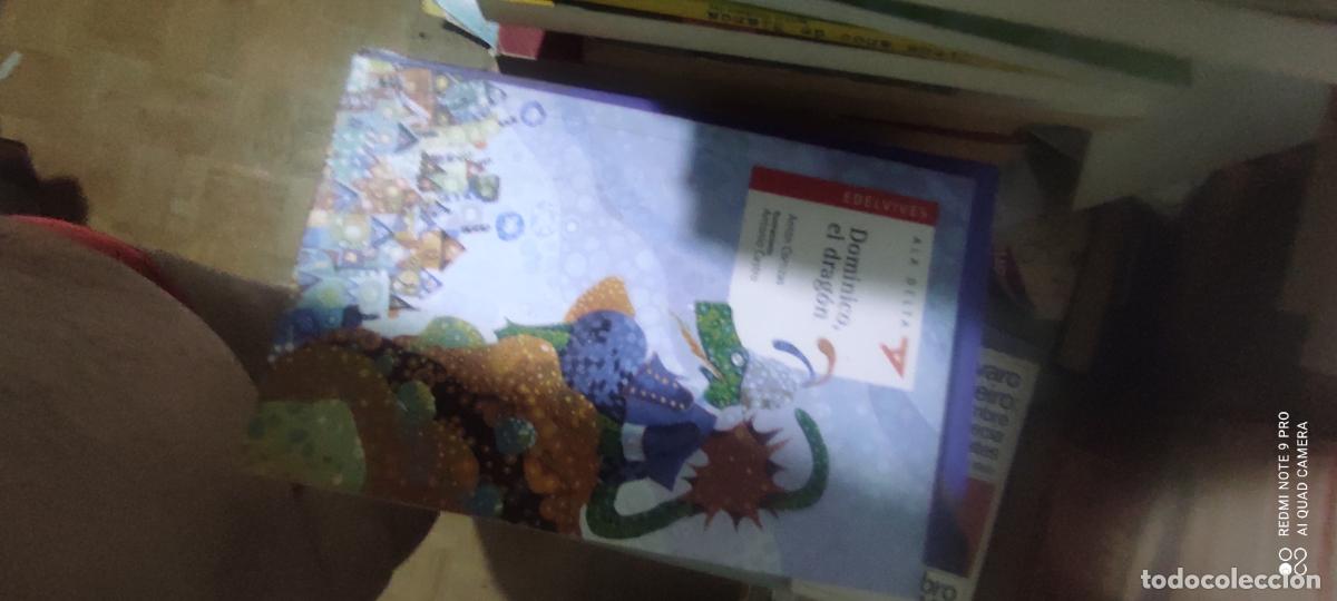 Libros de segunda mano: DOMINICO, EL DRAGON - ANTONIO CORTIZAS (A partir de 5 a&ntilde;os)