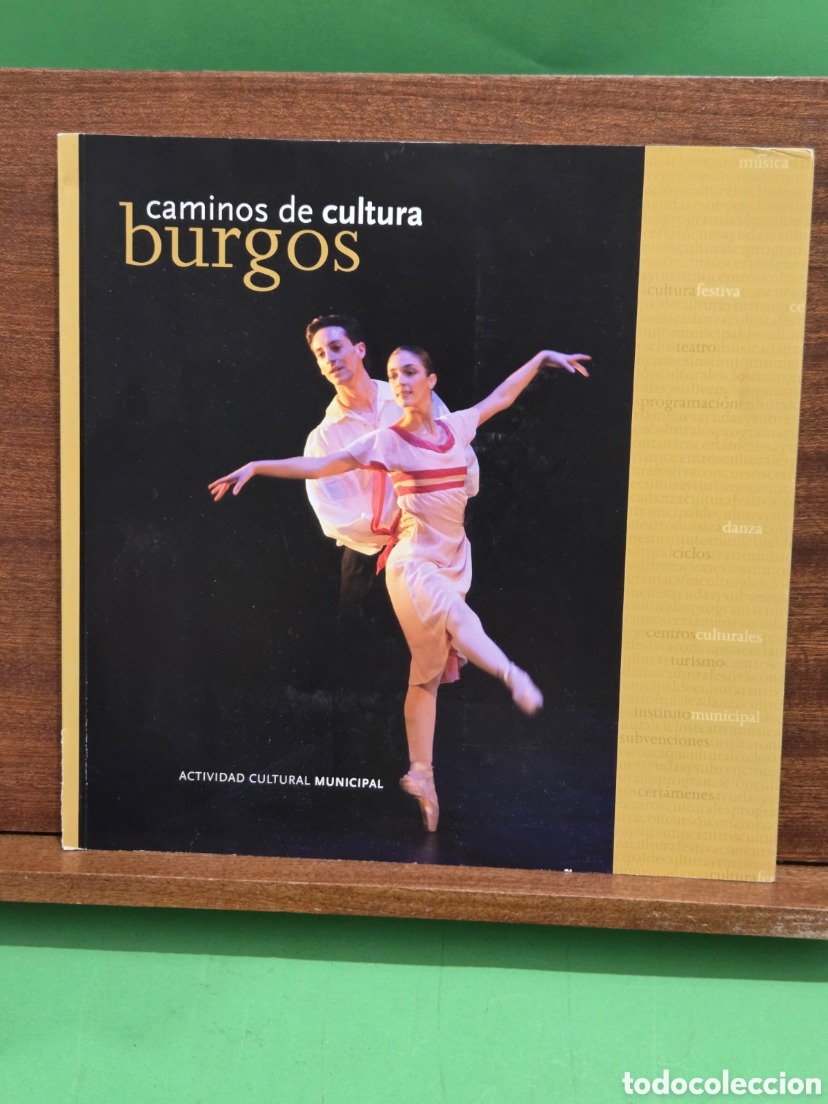 Libros de segunda mano: &rdquo;&rdquo;BURGOS, CAMINOS DE CULTURA&rdquo;&rdquo;...ACTIVIDAD CULTURAL MUNICIPAL...2008...