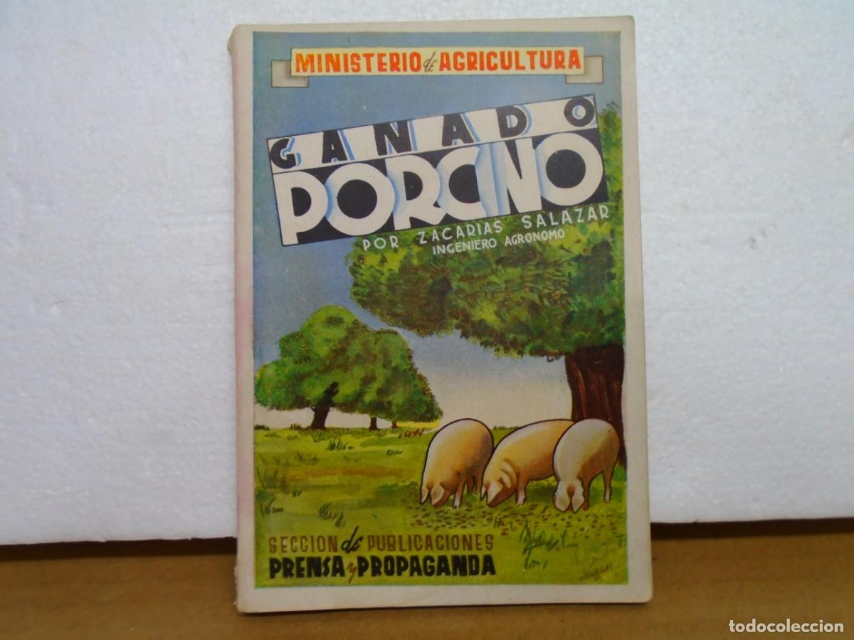 Second hand books: GANADO PORCINO/ZACARIAS SALAZAR/MINISTERIO DE AGRICULTURA/MADRID 1942.
