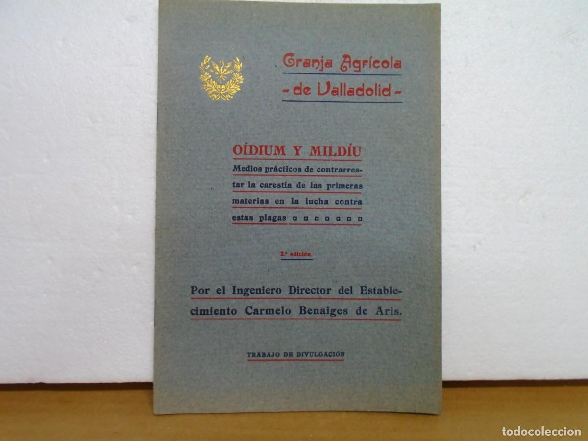 Libros de segunda mano: GRANJA AGRICOLA DE VALLADOLID/OIDIUM Y MILDIU/IMP.CASTELLANA 1918.