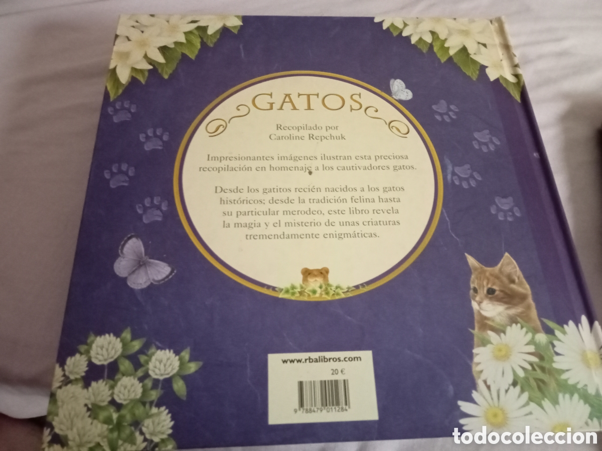 Libros de segunda mano: Anne Mortimer GATOS www.rbalibros.com - Foto 2