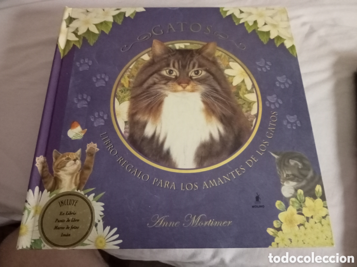 Libros de segunda mano: Anne Mortimer GATOS www.rbalibros.com