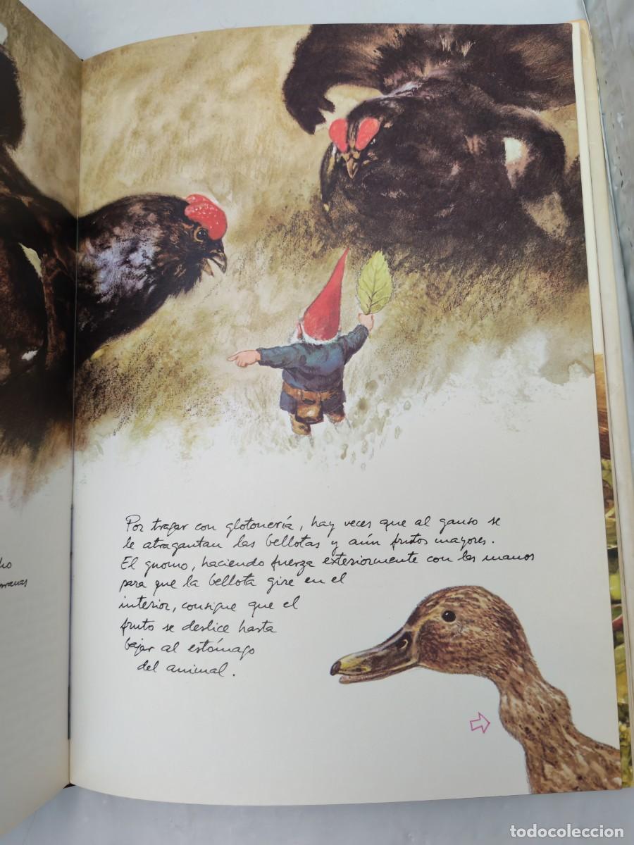 Libros de segunda mano: LOS GNOMOS (tapa dura con sobrecubierta) - Foto 3