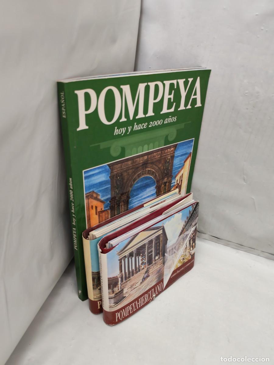 Libros de segunda mano: PACK 3 Libros POMPEYA: C&oacute;mo fueron y c&oacute;mo son - Foto 2