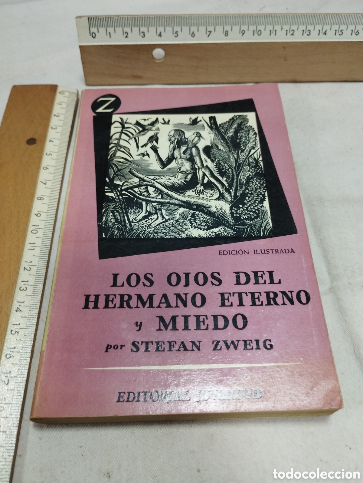 Libros de segunda mano: Los ojos del hermano eterno y miedo. Stefan Zweig, 1957
