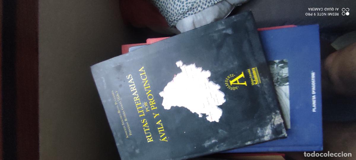 Libros de segunda mano: RUTAS LITERARIAS POR &Aacute;VILA Y PROVINCIA - S&Aacute;NCHEZ-REYES PE&Ntilde;AMAR&Iacute;A, SONSOLES