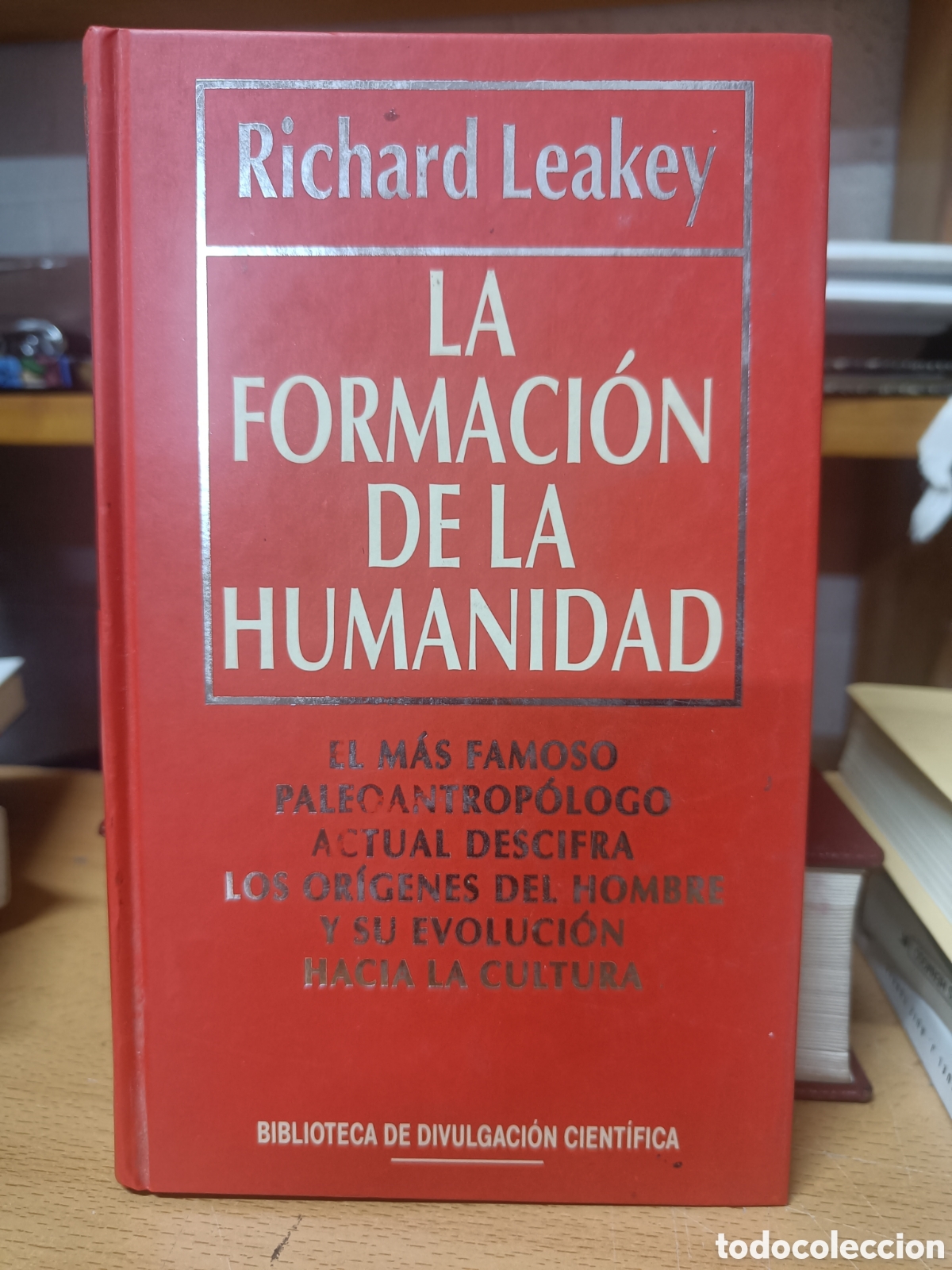 Libros de segunda mano: LA FORMACI&Oacute;N DE LA HUMANIDAD. RICHARD LEAKEY. BIBLIOTECA DIVULGACI&Oacute;N CIENT&Iacute;FICA