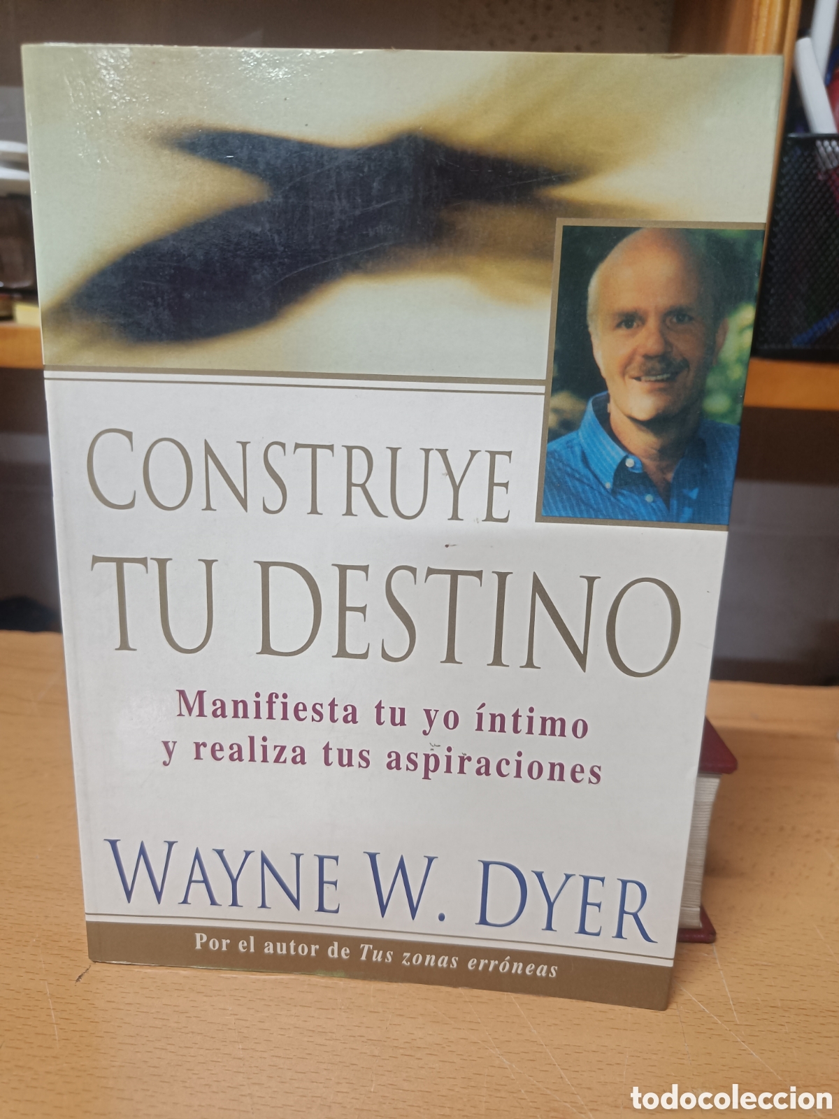 Libros de segunda mano: CONSTRUYE TU DESTINO. WAYNE W. DYER.