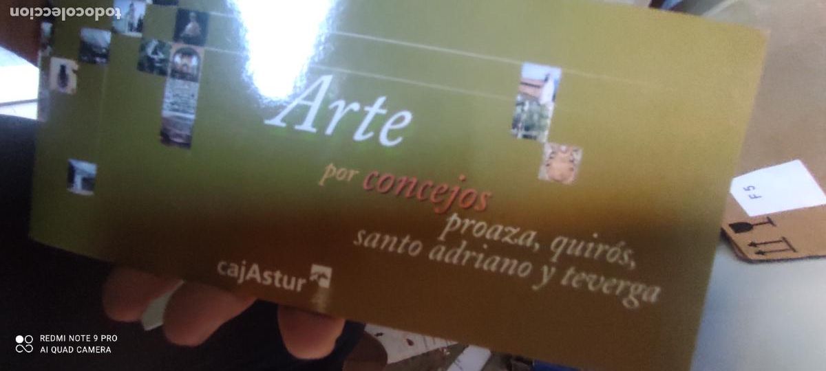 Libros de segunda mano: Arte por concejos proaza, quir&oacute;s, Santo ADriano, Teverga