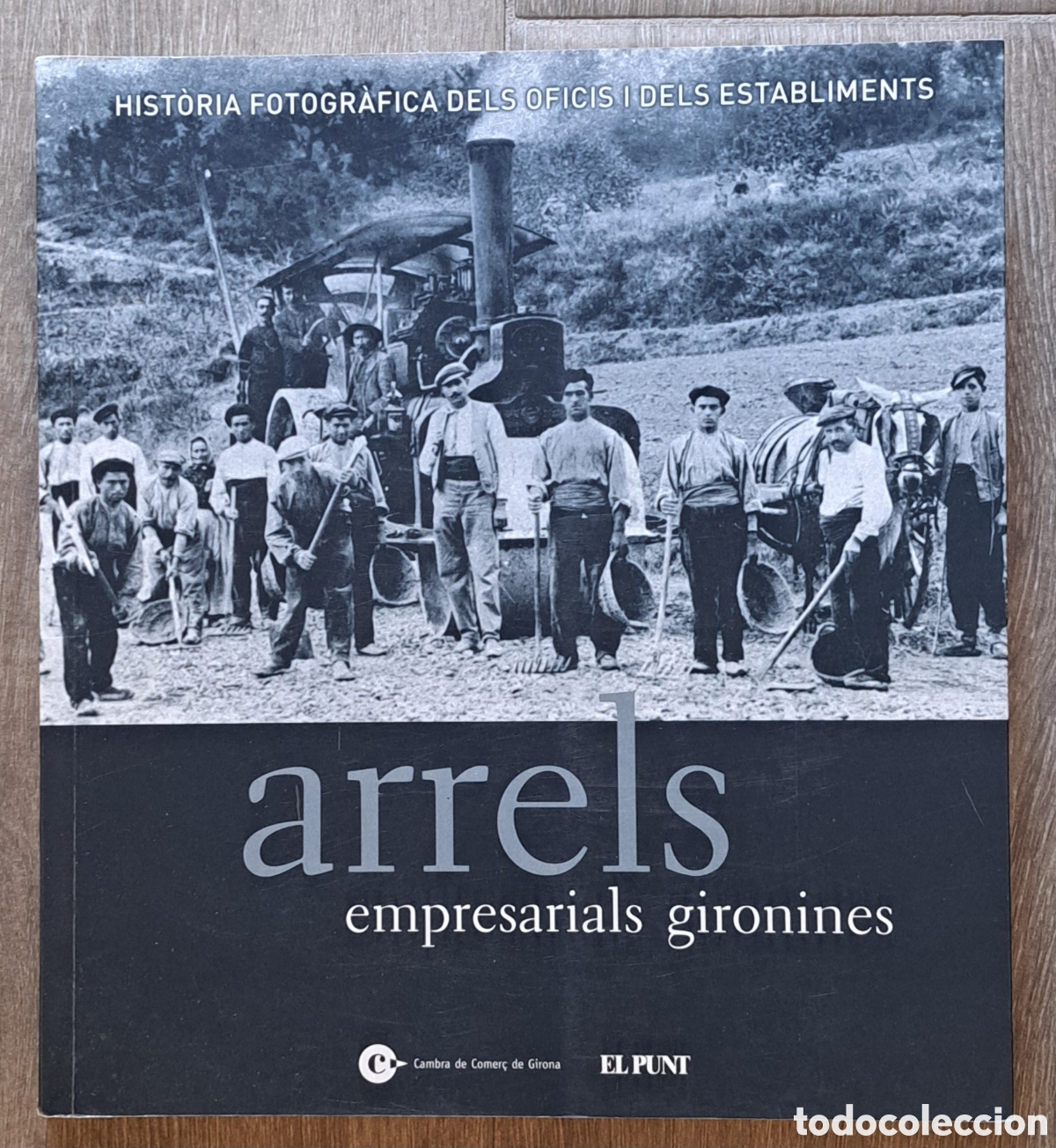 Libros de segunda mano: Arrels Empresarials Gironines - Hist&ograve;ria Fotogr&agrave;fica Oficis &bull; Arag&oacute; / Mirambell 2004 &bull; El Punt