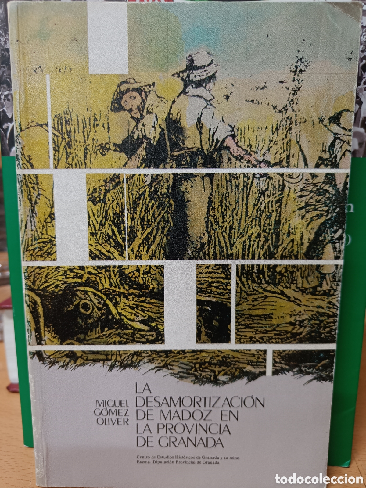Libros de segunda mano: LA DESAMORTIZACI&Oacute;N DE MADOZ EN LA PROVINCIA DE GRANADA. MIGUEL G&Oacute;MEZ OLIVER.
