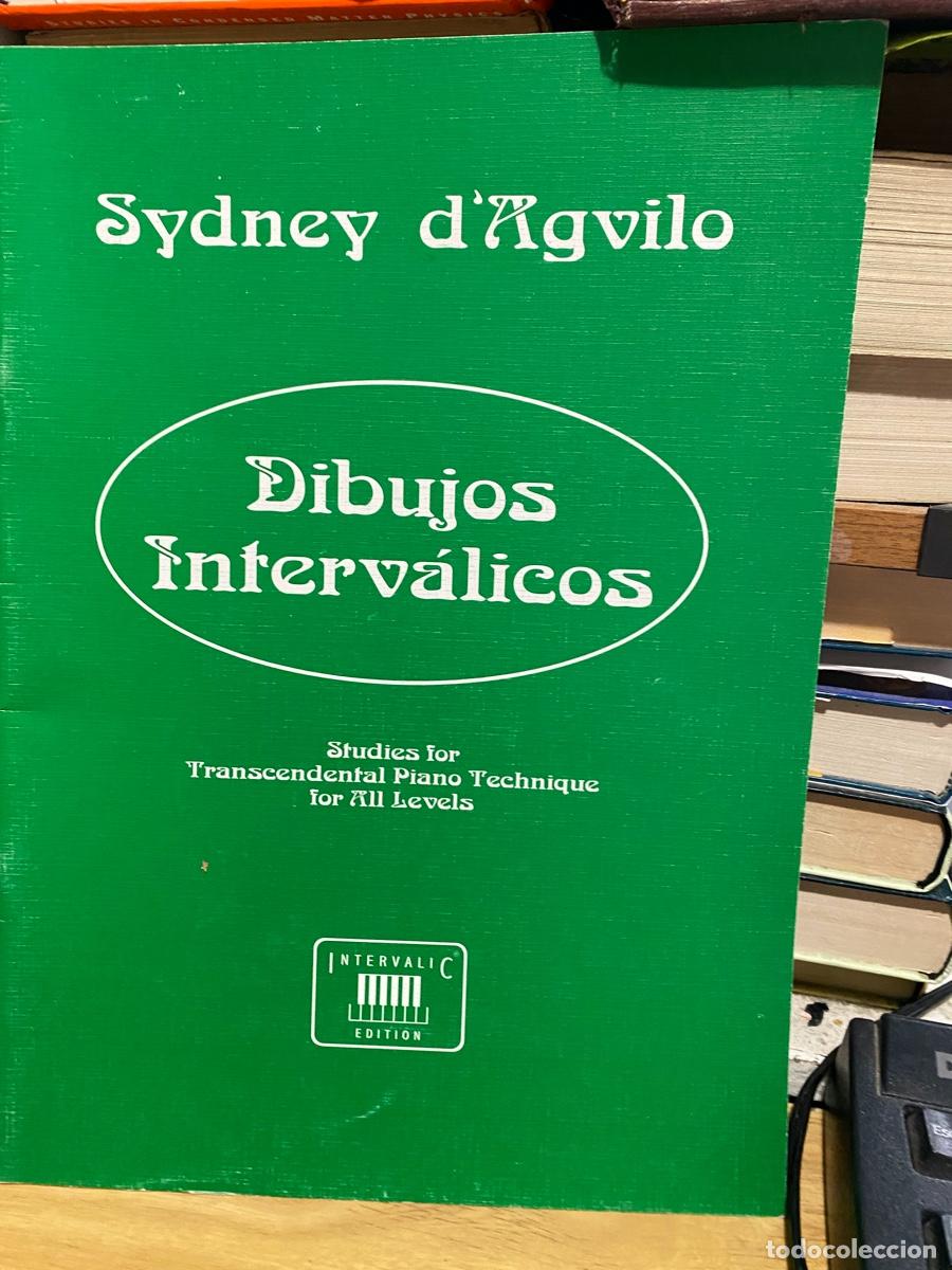 Libros de segunda mano: DIBUJOS INTERVALICOS, SYDNEY D AGVILO, INTERVALIC EDITION