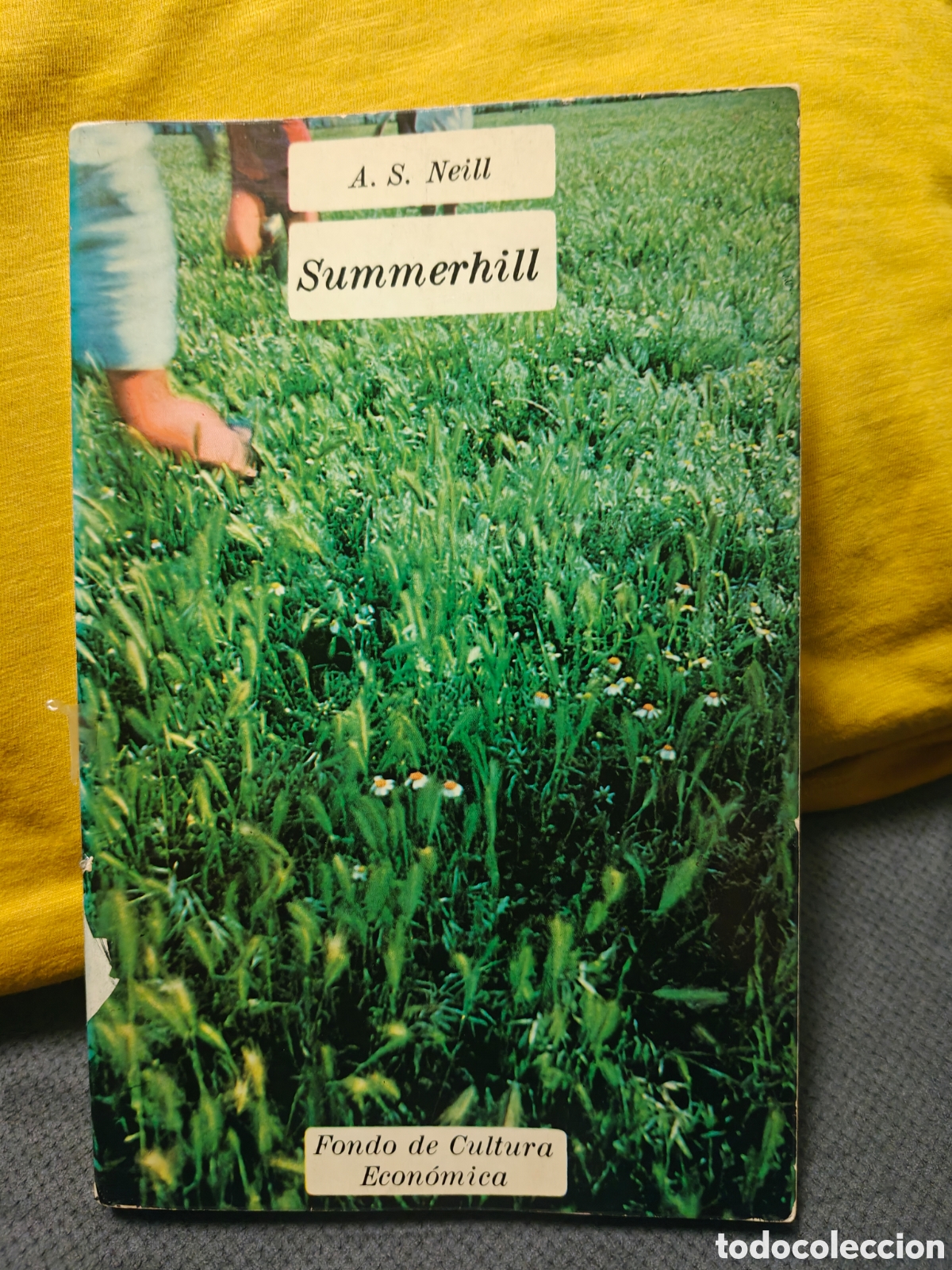 Libros de segunda mano: Summerhill, A.S. Neill