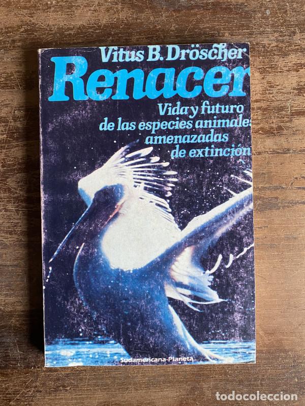Libros de segunda mano: Renacer - Dr�scher Vitus B. - Foto 1