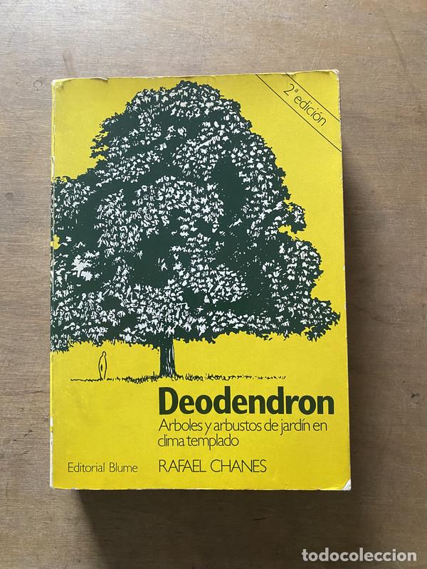 Libros de segunda mano: Deodendron - Chanes Rafael