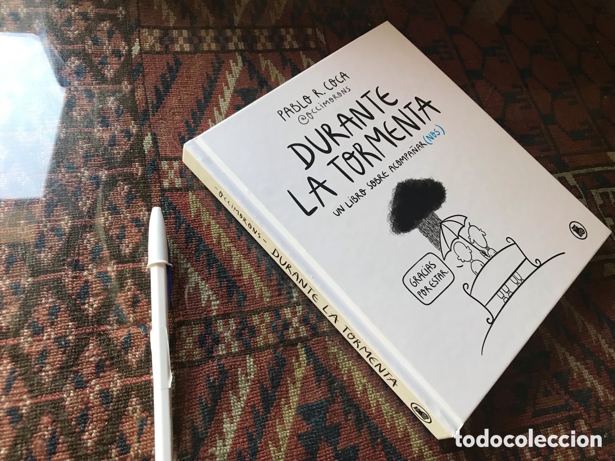 Libros de segunda mano: Durante la tormenta. Pablo R. Coca