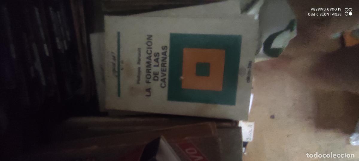 Libri di seconda mano: COLECCION QUE S&Eacute; N&ordm; 60 LA FORMACION DE LAS CAVERNAS OIKOS TAU PHILIPPE RENAULT