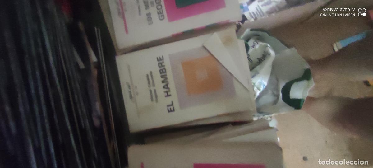 Libros de segunda mano: EL HAMBRE - MICHEL C&Eacute;PEDE - HUGUES GOUNELLE - COLECCI&Oacute;N &iquest;QU&Eacute; S&Eacute;? - OIKOS-TAU EDICIONES - 197