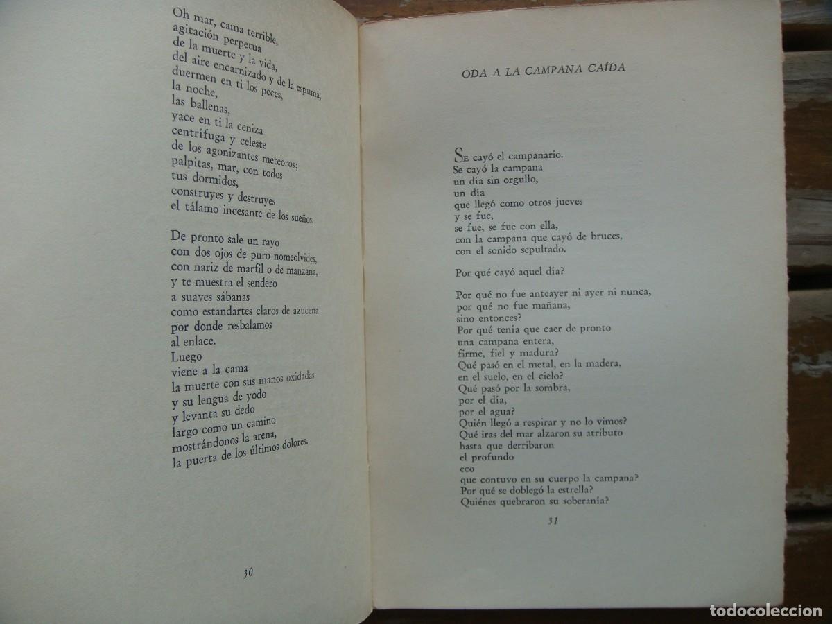 Libros de segunda mano: Pablo Neruda: NAVEGACIONES Y REGRESOS. Primera edicion - Foto 3
