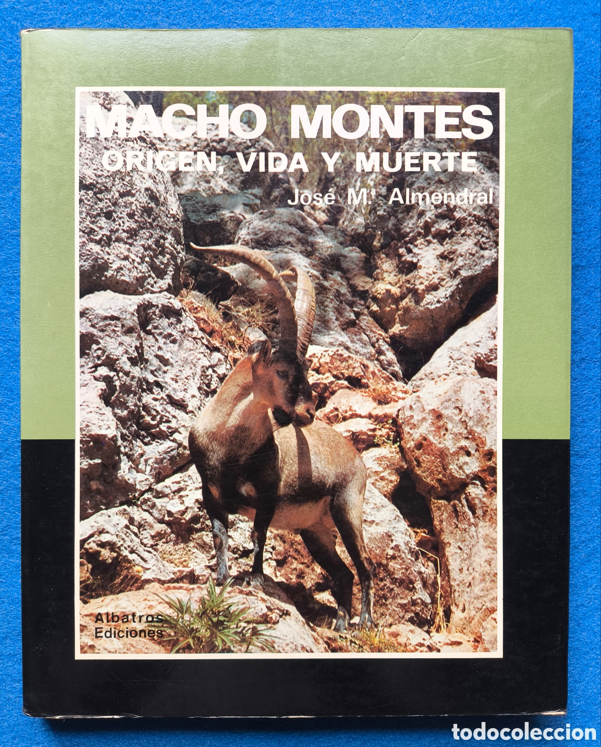 Libros de segunda mano: CAZA MACHO MONTES LIBRO DESCATALOGADO