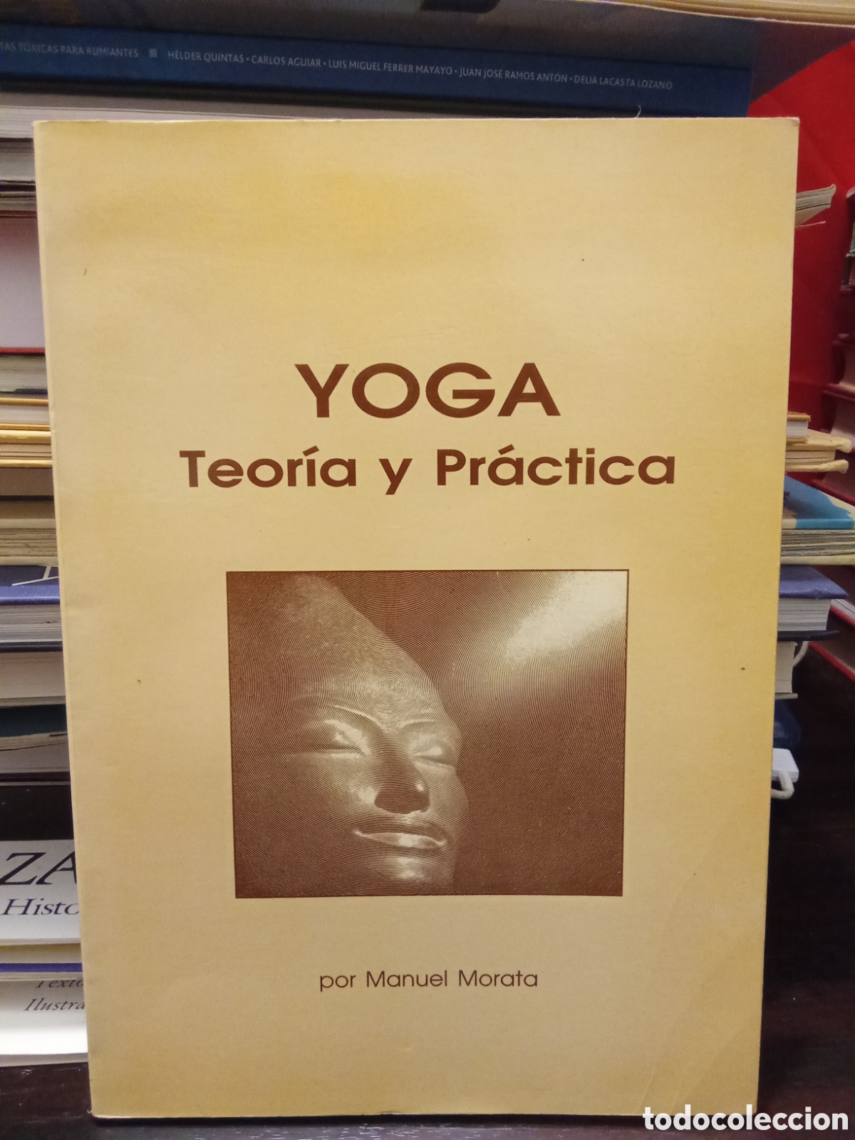 Libros de segunda mano: YOGA Teoria y Pr&aacute;ctica - Manuel Morata