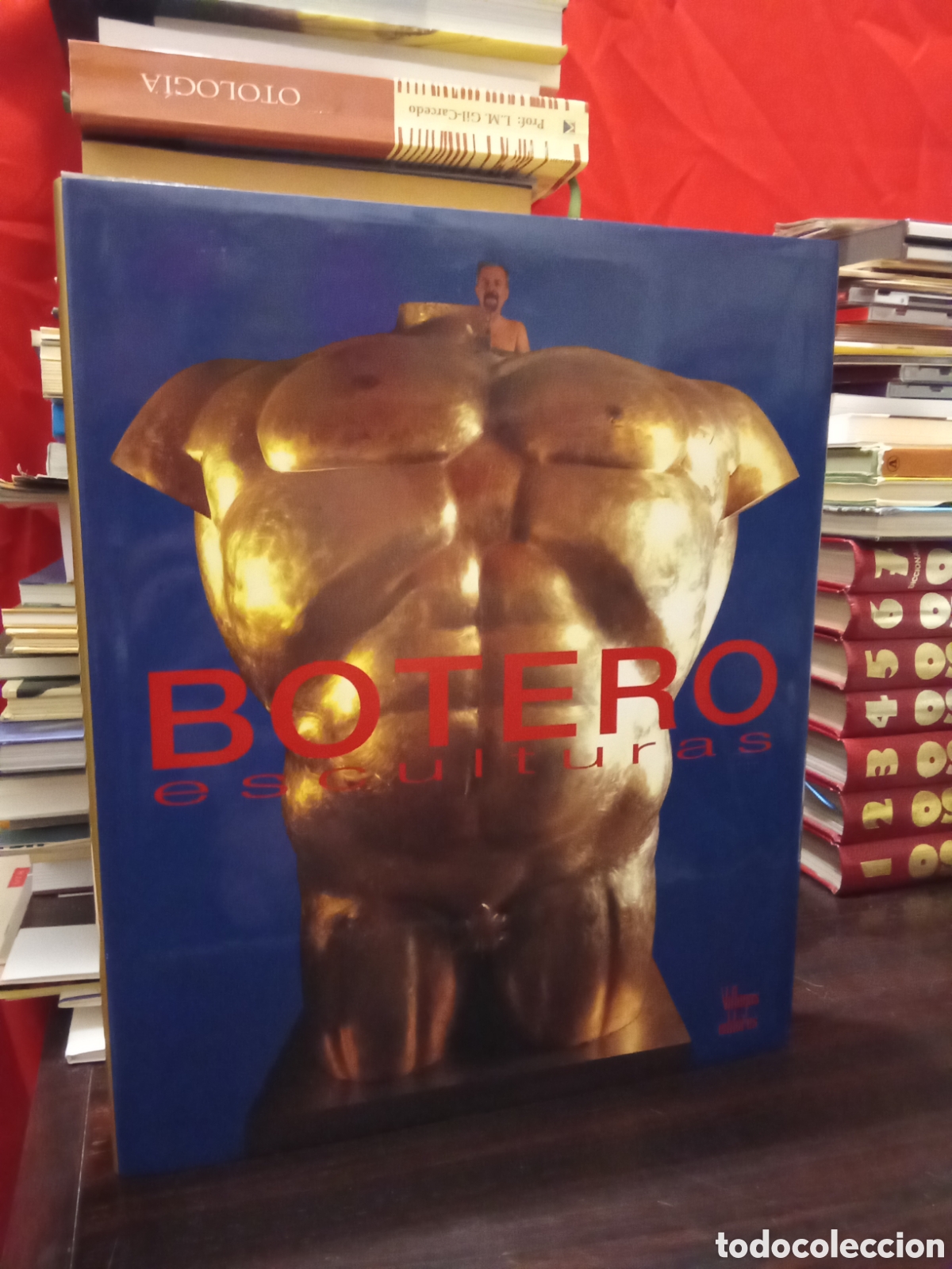 Libros de segunda mano: BOTERO esculturas - Villegas editores