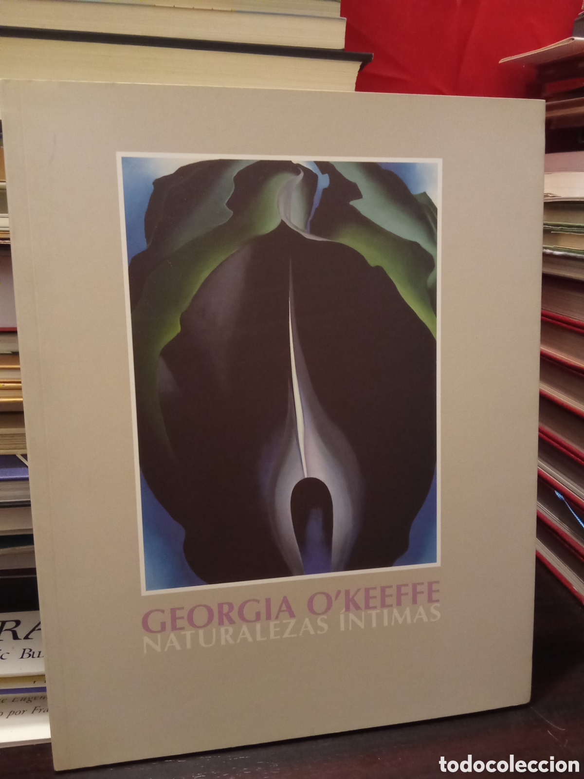 Libros de segunda mano: NATURALEZAS INTIMAS - GEORGIA O'KEEFFE