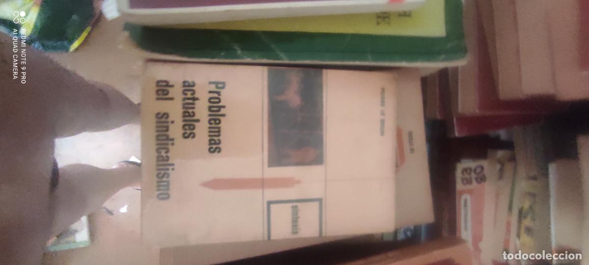 Libros de segunda mano: LE BRUN, PIERRE. PROBLEMAS ACTUALES DEL SINDICALISMO