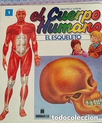 Libri di seconda mano: ERASE UNA VEZ EL CUERPO HUMANO - EL ESQUELETO