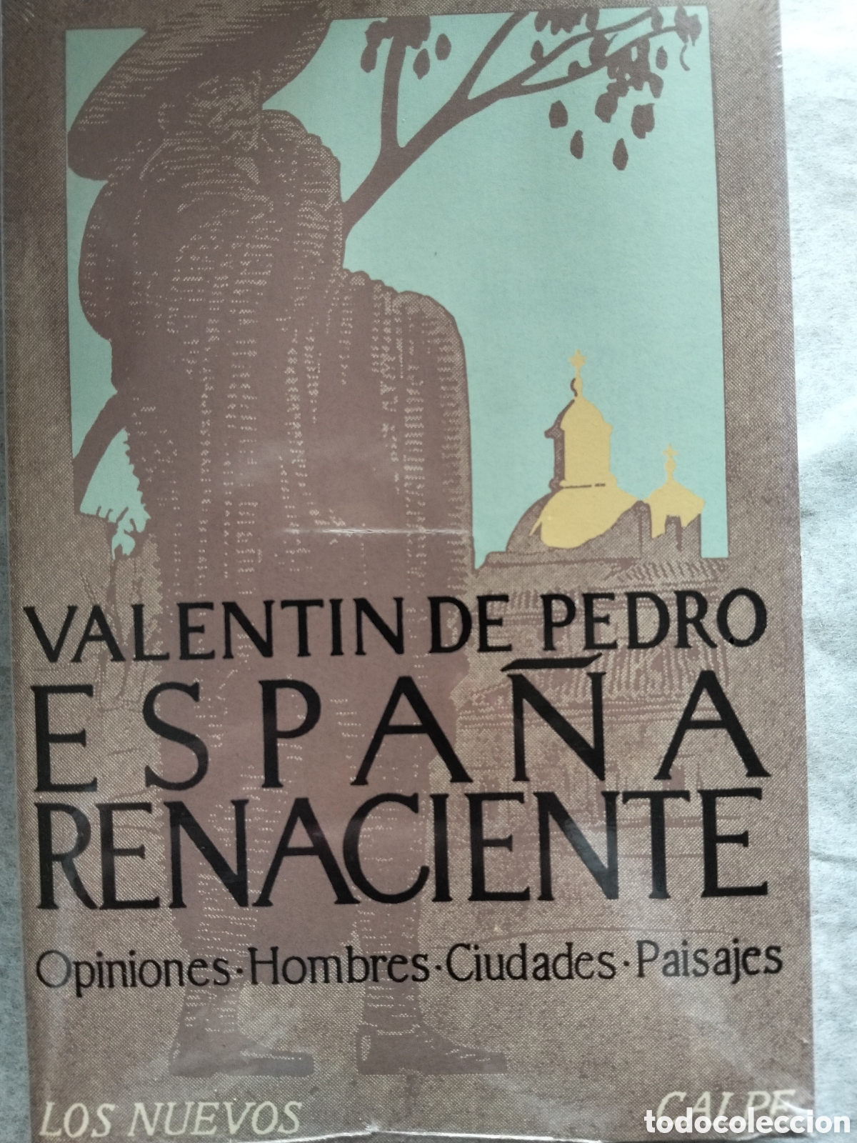 Gebrauchte B&uuml;cher: ESPA&Ntilde;A RENACIENTE VALENTIN DE PEDRO