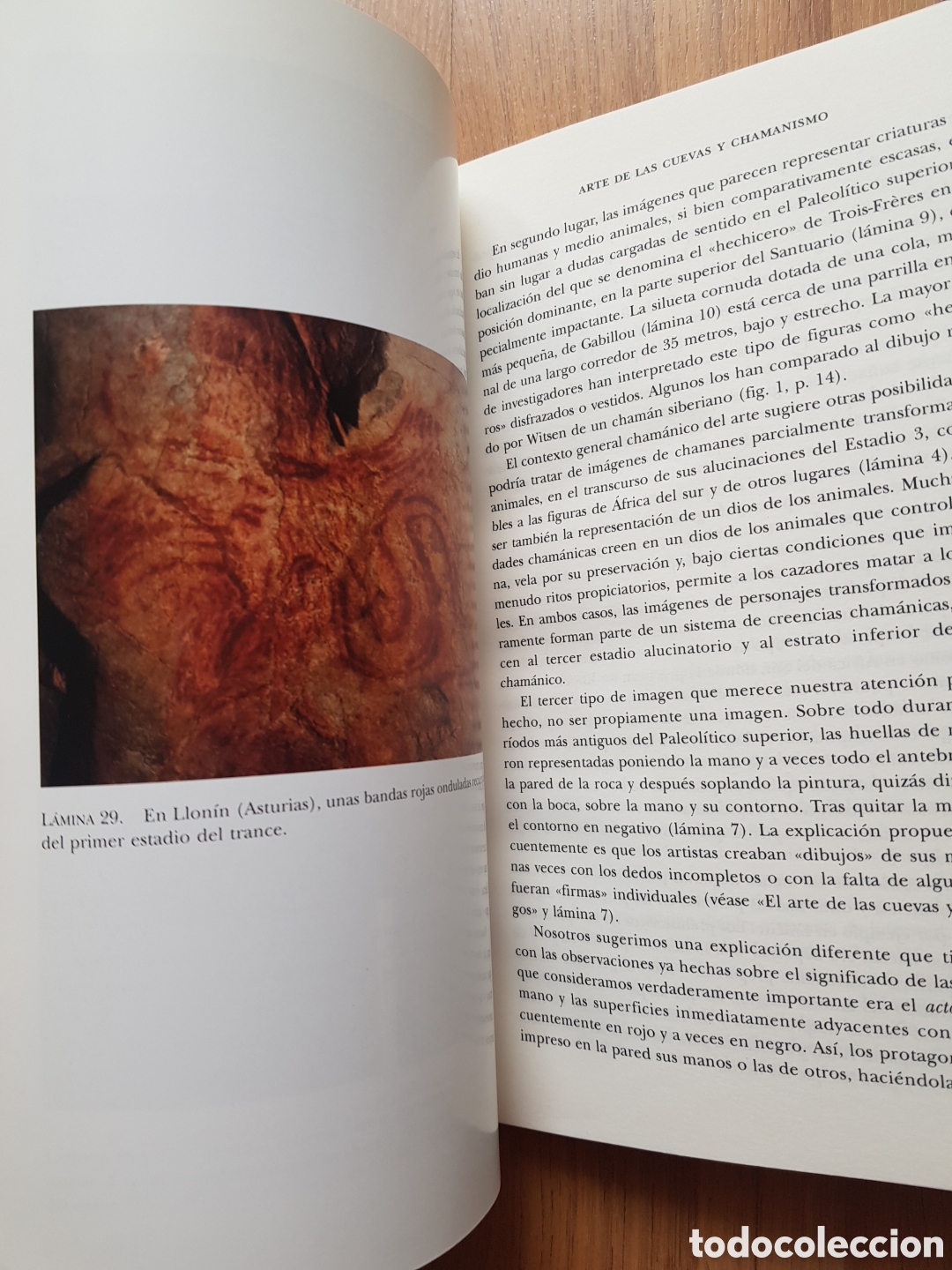 Libros de segunda mano: LOS CHAMANES DE LA PREHISTORIA. - CLOTTES/LEWIS WILLIAMS, Jean/David. - Foto 6