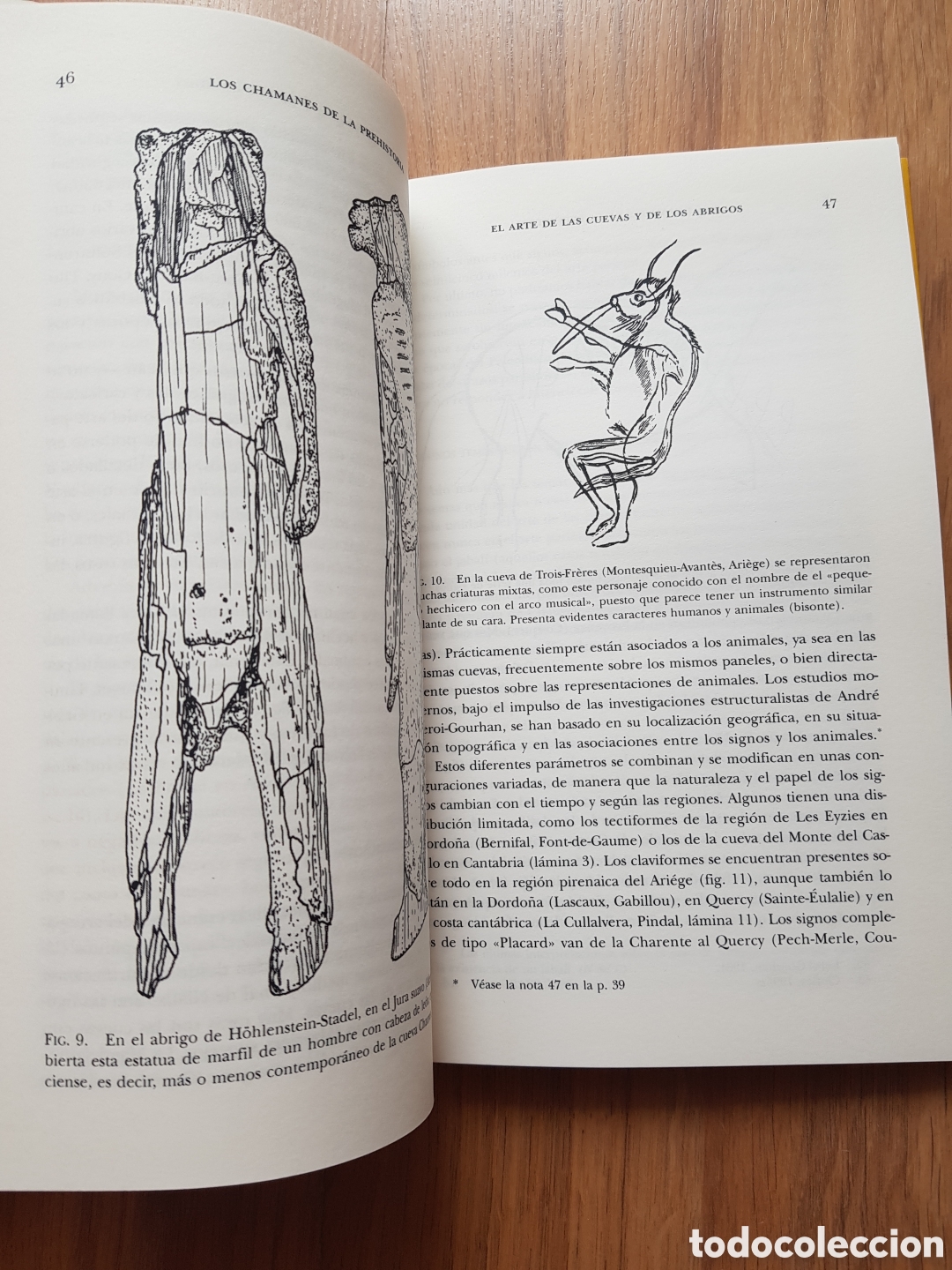 Libros de segunda mano: LOS CHAMANES DE LA PREHISTORIA. - CLOTTES/LEWIS WILLIAMS, Jean/David. - Foto 7