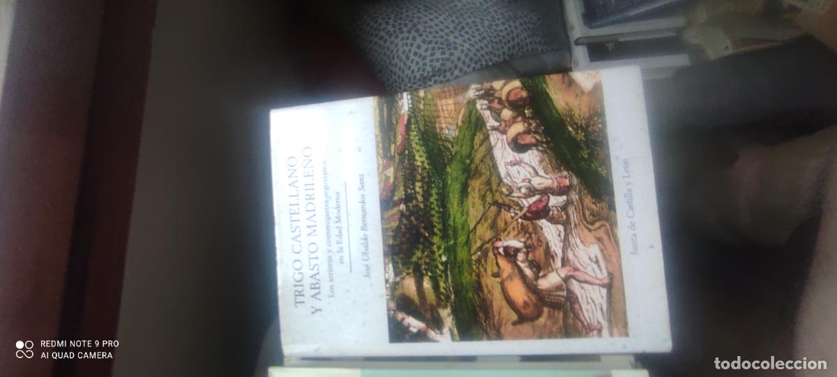 Libros de segunda mano: TRIGO CASTELLANO Y ABASTO MADRILE&Ntilde;O. LOS ARRIEROS Y COMERCIANTES SEGOVIANOS EDAD MODERNA