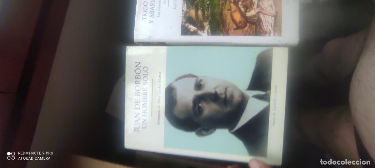 Libros de segunda mano: Juan de Borb&oacute;n: Un hombre solo - Fernando de Meer Lecha-Marzo - Junta de Castilla y Le&oacute;n 2